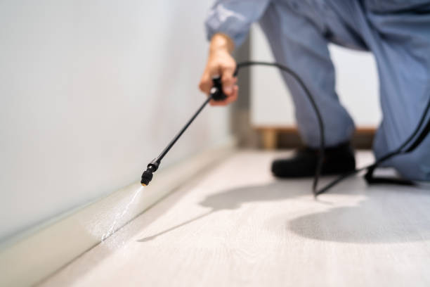 Licensed Mosquito Control service in Rose Lodge, OR - Show Me Pest Control
