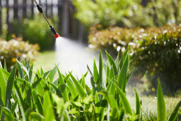 24/7 Emergency Mosquito Control experts in Rose Lodge, OR