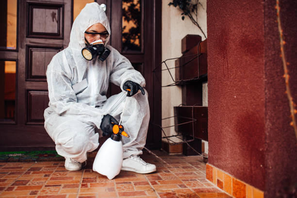 Reliable Mosquito Control contractor in Rose Lodge, OR by Show Me Pest Control