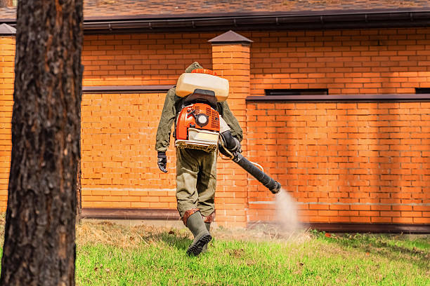 Top rated local Mosquito Control specialists in Rose Lodge, OR